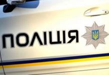 Криминал крепчает: в Каховке мать набросилась на сына с топором