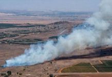 На юге Сирии повстанцы сбили военный самолет режима Асада