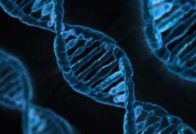 Ученые удалили из ДНК человека ген, отвечающий за заболевание — Korrespondent.net