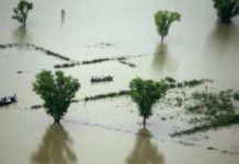 В Индии при наводнении массово погибли люди