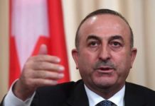 Турция не одобряет антироссийские санкции — глава МИД