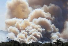 Режим ЧС ввели в Македонии из-за пожаров