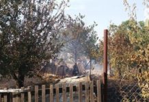 В Бердянске горел дачный коорератив