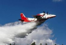 Украина поможет Грузии в тушении лесных пожаров