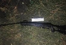 Покушение на родственников: в Киеве мужчина стрелял в отца