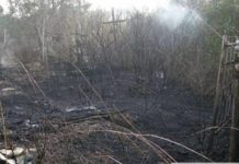 Тушили два часа: в центре Николаева загорелось кладбище