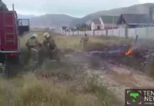 Украинец разбился во время учебного полета около Алма-Аты