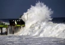 Землетрясение у берегов Мексики: названа высота волн при цунами