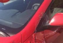 В Киеве кислотой облили 20 автомобилей