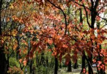 Синоптики сделали прогноз на выходные: в Украину идут холода