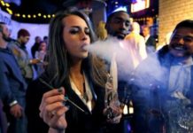 Новая Зеландия проведет референдум о легализации марихуаны